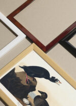 Widok z góry na cztery drewniane ramki, w jednej z nich oprawiony plakat Czarne kaczki Johna Audubona Birds of America