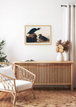 Aranżacja wnętrza, na ścianie wisi plakat w ramce: Czarne kaczki Johna Audubona Birds of America