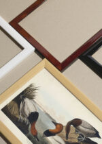 Widok z góry na cztery drewniane ramki, w jednej z nich oprawiony plakat Kaczka krzyżówka - ilustracja Johna Jamesa Audubona