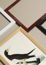 Widok z góry na cztery drewniane ramki, w jednej z nich oprawiony plakat Booby Gannet - ornitologiczna ilustracja Audubona