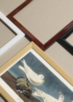 Widok z góry na cztery drewniane ramki, w jednej z nich oprawiony plakat Mewy Audubona ptaki morskie z Birds of America