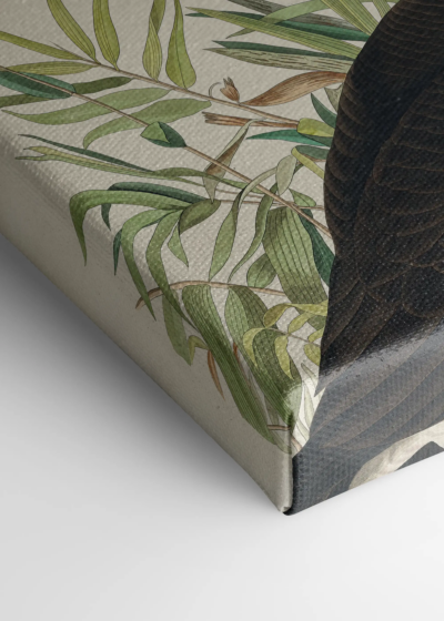 Gęś kanadyjska John James Audubon Birds of America obraz na płótnie