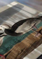 Zbliżenie na detale plakatu: Gęsi śnieżne John James Audubon ptaki Ameryki