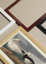 Widok z góry na cztery drewniane ramki, w jednej z nich oprawiony plakat Gęsi śnieżne John James Audubon ptaki Ameryki