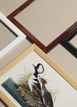 Widok z góry na cztery drewniane ramki, w jednej z nich oprawiony plakat Kapelusznik kapturowy Audubon ptaki Ameryki