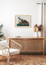 Aranżacja wnętrza, na ścianie wisi plakat w ramce: Kapelusznik kapturowy Audubon ptaki Ameryki