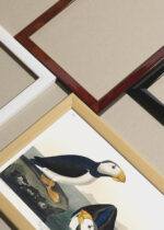 Widok z góry na cztery drewniane ramki, w jednej z nich oprawiony plakat Maskonur Czarnogłowy - ilustracja Audubona z Birds of America