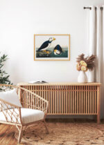 Aranżacja wnętrza, na ścianie wisi plakat w ramce: Maskonur Czarnogłowy - ilustracja Audubona z Birds of America