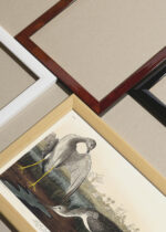 Widok z góry na cztery drewniane ramki, w jednej z nich oprawiony plakat Brodziec żółtonogi John James Audubon ptaki Ameryki