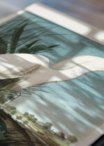 Zbliżenie na detale plakatu: Czapla biała Audubon Birds of America