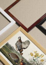 Widok z góry na cztery drewniane ramki, w jednej z nich oprawiony plakat Cietrzew preriowy - John James Audubon Birds of America