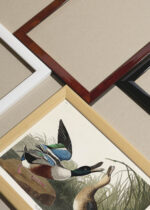 Widok z góry na cztery drewniane ramki, w jednej z nich oprawiony plakat Shoveller Ducks - kaczki z ilustracji Audubona