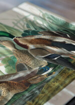 Zbliżenie na detale plakatu: Kaczka krzyżówka - ilustracja Johna Jamesa Audubona