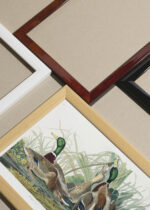 Widok z góry na cztery drewniane ramki, w jednej z nich oprawiony plakat Kaczka krzyżówka - ilustracja Johna Jamesa Audubona