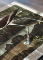 Zbliżenie na detale plakatu: Amerykański Awocet - ilustracja Johna Jamesa Audubona