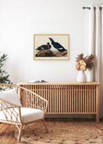 Aranżacja wnętrza, na ścianie wisi plakat w ramce: Velvet Duck - ptaki Ameryki Johna Jamesa Audubona