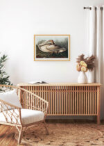 Aranżacja wnętrza, na ścianie wisi plakat w ramce: Łabędź trąbiący - ilustracja Johna Jamesa Audubona