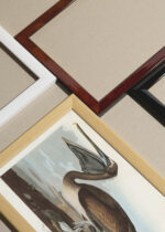 Widok z góry na cztery drewniane ramki, w jednej z nich oprawiony plakat Pelikan Brunatny - ilustracja Johna Jamesa Audubona