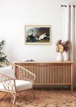 Aranżacja wnętrza, na ścianie wisi plakat w ramce: Eider Duck kaczki edredony John James Audubon