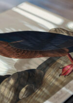 Zbliżenie na detale plakatu: Tufted Auk - ilustracja ptaków Johna Jamesa Audubona