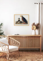 Aranżacja wnętrza, na ścianie wisi plakat w ramce: Tufted Auk - ilustracja ptaków Johna Jamesa Audubona