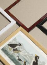 Widok z góry na cztery drewniane ramki, w jednej z nich oprawiony plakat ptaki morskie Audubon Birds of America