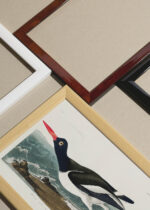 Widok z góry na cztery drewniane ramki, w jednej z nich oprawiony plakat Ostrygojad amerykański John James Audubon ptaki Ameryki