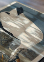 Zbliżenie na detale plakatu: Ibis biały z Birds of America John James Audubon