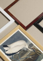 Widok z góry na cztery drewniane ramki, w jednej z nich oprawiony plakat Ibis biały z Birds of America John James Audubon