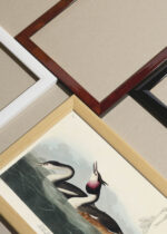 Widok z góry na cztery drewniane ramki, w jednej z nich oprawiony plakat Perkoz dwuczuby - ilustracja Johna Jamesa Audubona