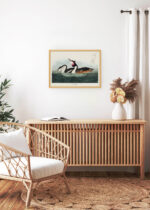 Aranżacja wnętrza, na ścianie wisi plakat w ramce: Perkoz dwuczuby - ilustracja Johna Jamesa Audubona