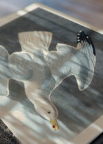 Zbliżenie na detale plakatu: Mewy z dzieła Birds of America John James Audubon