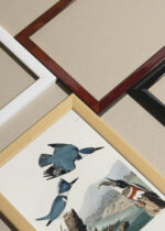 Widok z góry na cztery drewniane ramki, w jednej z nich oprawiony plakat Belted Kingfisher - ilustracja Johna Jamesa Audubona
