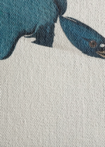 Belted Kingfisher - ilustracja Johna Jamesa Audubona obraz na płótnie
