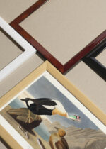 Widok z góry na cztery drewniane ramki, w jednej z nich oprawiony plakat King Duck - ptaki Ameryki John James Audubon