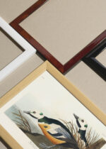 Widok z góry na cztery drewniane ramki, w jednej z nich oprawiony plakat Kaczka krzyżówka John James Audubon Birds of America