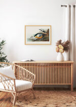 Aranżacja wnętrza, na ścianie wisi plakat w ramce: Kaczka krzyżówka John James Audubon Birds of America