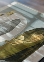 Zbliżenie na detale plakatu: Mewa Perłowa - John James Audubon Birds of America