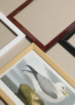 Widok z góry na cztery drewniane ramki, w jednej z nich oprawiony plakat Mewa Perłowa - John James Audubon Birds of America
