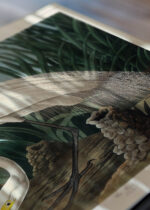 Zbliżenie na detale plakatu: Biała Czapla - John James Audubon Birds of America