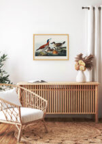 Aranżacja wnętrza, na ścianie wisi plakat w ramce: Ruddy Duck - ilustracja ptaków Johna Jamesa Audubona