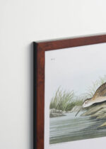 Plakat oprawiony w drewnianą brązową ramkę Vintage Italia: Ptaki Ameryki - Kwikła Curlew John James Audubon