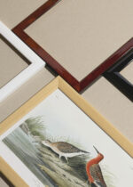 Widok z góry na cztery drewniane ramki, w jednej z nich oprawiony plakat Ptaki Ameryki - Kwikła Curlew John James Audubon
