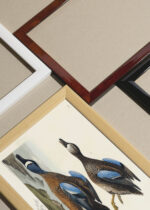 Widok z góry na cztery drewniane ramki, w jednej z nich oprawiony plakat Cyraneczka karolińska John James Audubon ptaki Ameryki