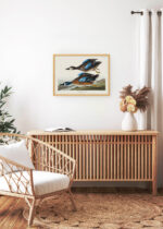 Aranżacja wnętrza, na ścianie wisi plakat w ramce: Cyraneczka karolińska John James Audubon ptaki Ameryki
