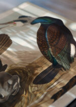 Zbliżenie na detale plakatu: Kormorany Johna Jamesa Audubona z Birds of America