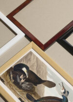 Widok z góry na cztery drewniane ramki, w jednej z nich oprawiony plakat Kormorany Johna Jamesa Audubona z Birds of America