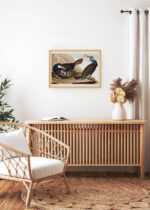 Aranżacja wnętrza, na ścianie wisi plakat w ramce: Kormorany Johna Jamesa Audubona z Birds of America