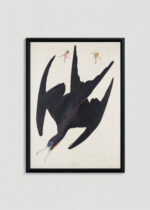 Plakat oprawiony w drewnianą brązową ramkę Vintage Italia: Fregata ptasica Johna Jamesa Audubona z Birds of America