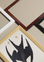 Zbliżenie na detale plakatu oprawionego w drewnianą białą ramkę od Plakatello®: Fregata ptasica Johna Jamesa Audubona z Birds of America